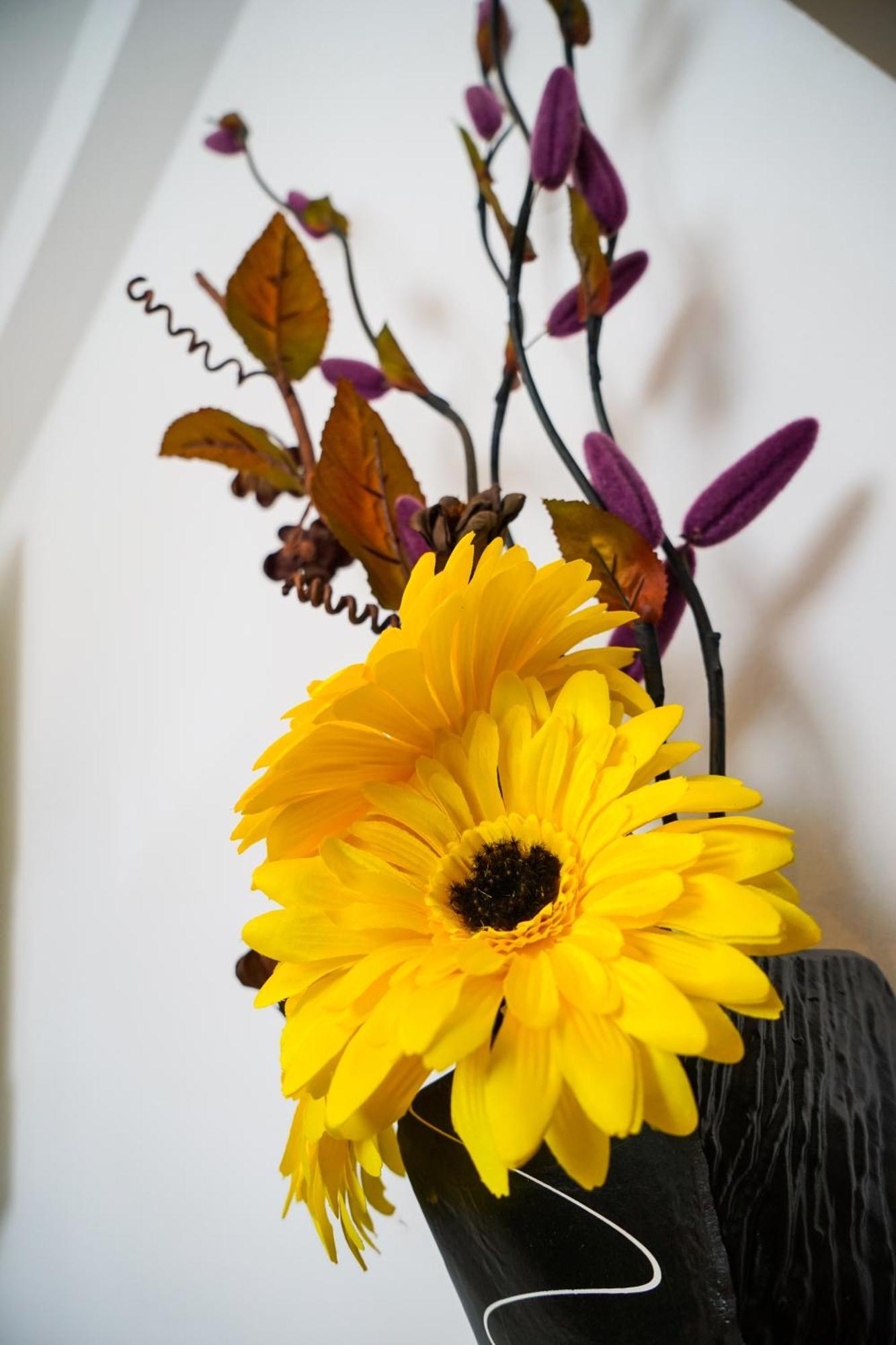 Apartmán Floral *