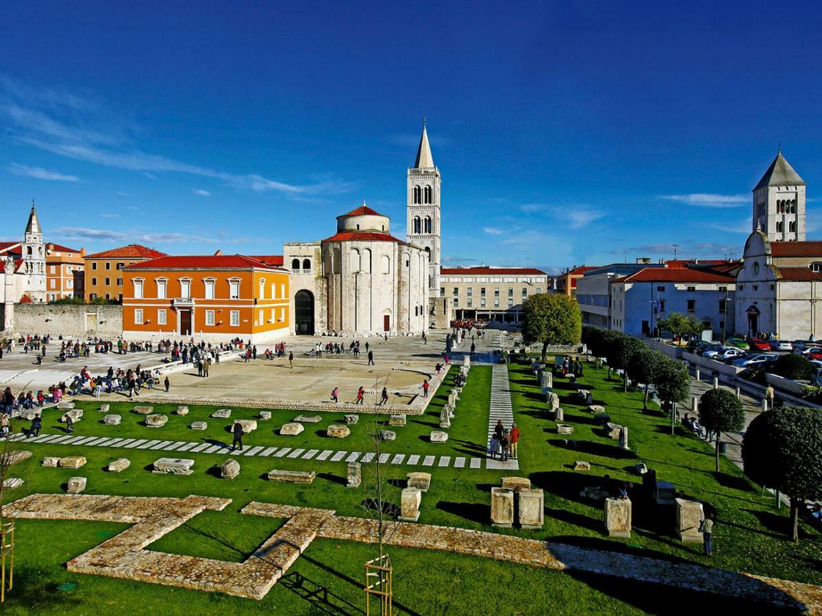 Floral * Zadar